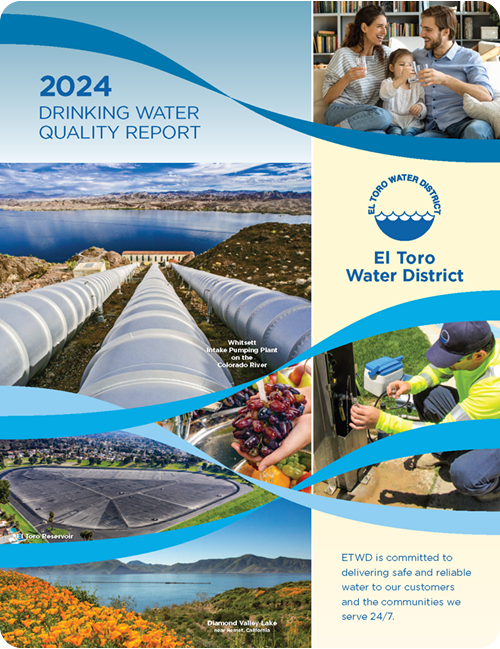 El Toro 2024 WQR web Page 01 768x994